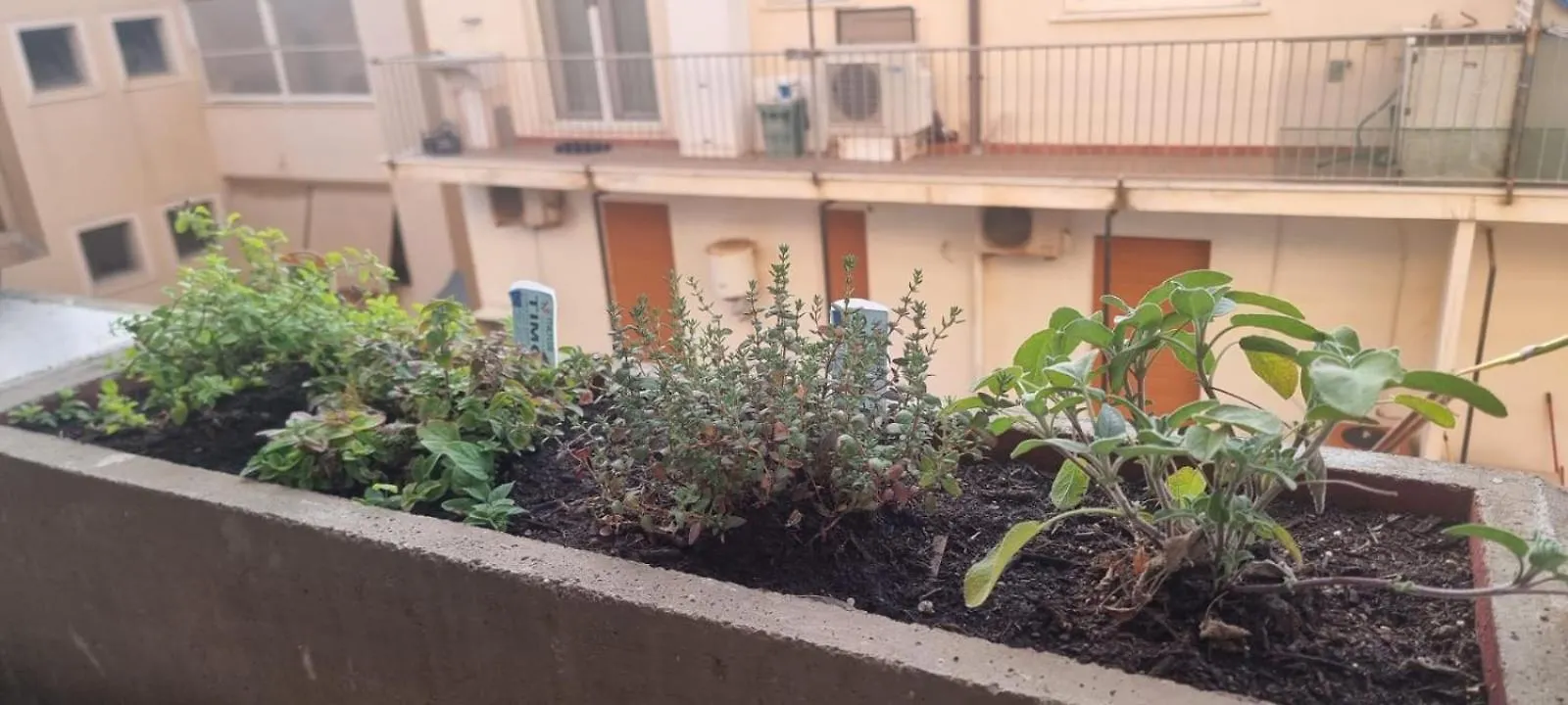 Apartment Bs7 Alghero