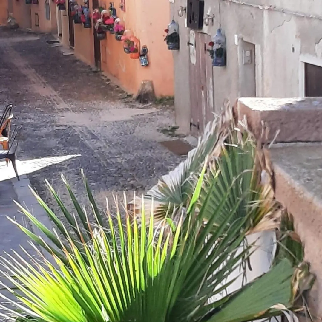 Apartment Bs7 Alghero